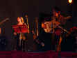 DSCN0907red.jpg (308723 Byte)